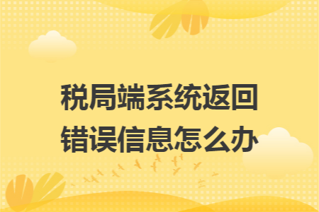 税局端系统返回错误信息怎么办 税局端系统返回错误信息怎么办