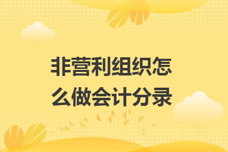非营利组织怎么做会计分录