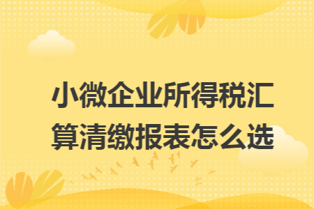 小微企业所得税汇算清缴报表怎么选 小微企业所得税汇算清缴报表怎么选