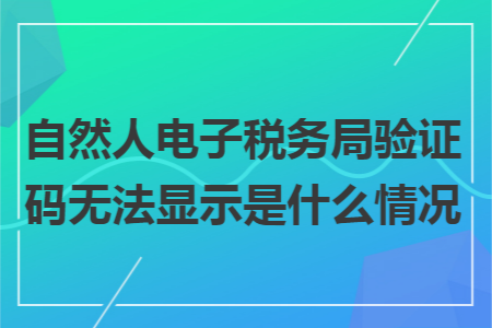 自然人电子税务局验证码无法显示是什么情况 自然人电子税务局验证码无法显示是什么情况