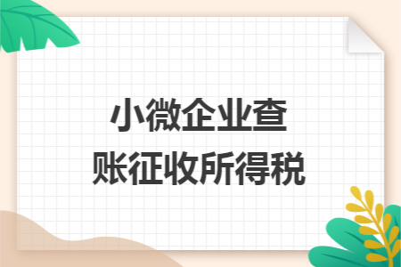 小微企业查账征收所得税 小微企业查账征收所得税