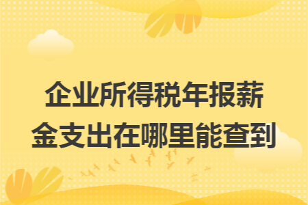 企业所得税年报薪金支出在哪里能查到 企业所得税年报薪金支出在哪里能查到