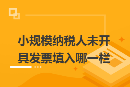 小规模纳税人未开具发票填入哪一栏 小规模纳税人未开具发票填入哪一栏