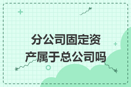 分公司固定资产属于总公司吗