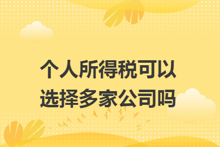 个人所得税可以选择多家公司吗
