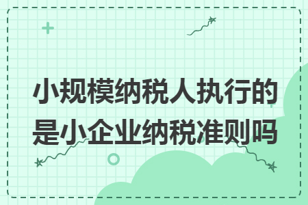 小规模纳税人执行的是小企业纳税准则吗