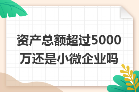 资产总额超过5000万还是小微企业吗