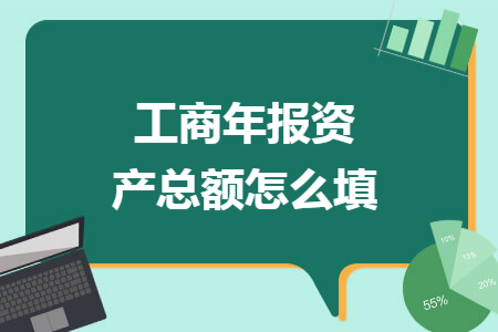 工商年报资产总额怎么填