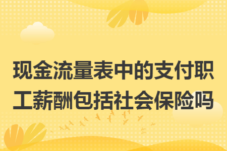 现金流量表中的支付职工薪酬包括社会保险吗