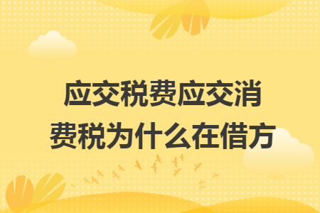 应交税费应交消费税为什么在借方
