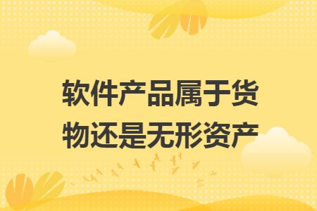 软件产品属于货物还是无形资产 软件产品属于货物还是无形资产