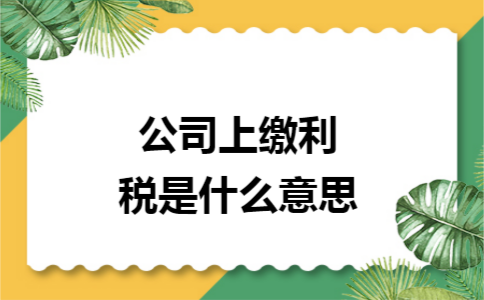 公司上缴利税是什么意思 公司上缴利税是什么意思