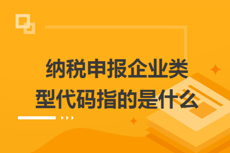 纳税申报企业类型代码指的是什么 纳税申报企业类型代码指的是什么