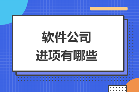 软件公司进项有哪些 软件公司进项有哪些