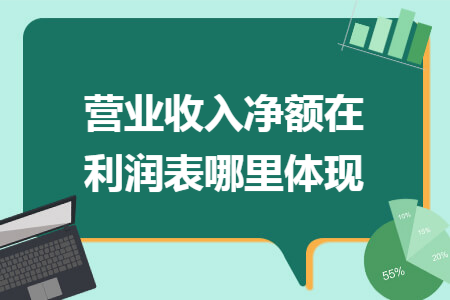 营业收入净额在利润表哪里体现 营业收入净额在利润表哪里体现