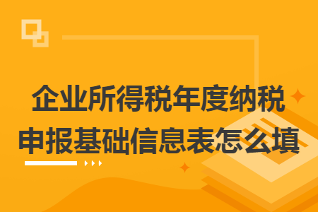 企业所得税年度纳税申报基础信息表怎么填