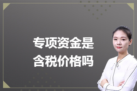 专项资金是含税价格吗 专项资金是含税价格吗