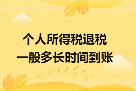 个人所得税退税一般多长时间到账