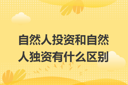 自然人投资和自然人独资有什么区别