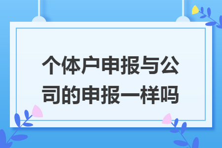 个体户申报与公司的申报一样吗 个体户申报与公司的申报一样吗