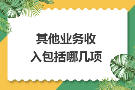 其他业务收入包括哪几项