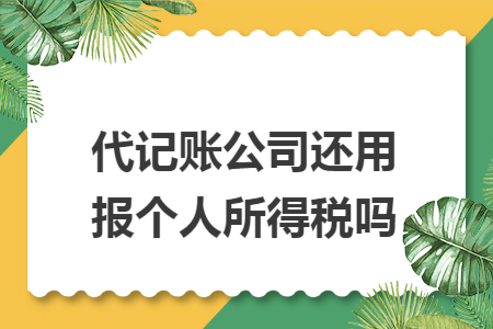 代记账公司还用报个人所得税吗 代记账公司还用报个人所得税吗