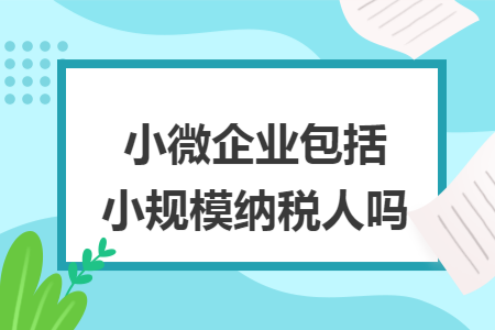 小微企业包括小规模纳税人吗 小微企业包括小规模纳税人吗