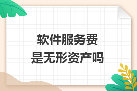 软件服务费是无形资产吗 软件服务费是无形资产吗