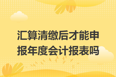 汇算清缴后才能申报年度会计报表吗