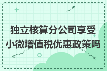 独立核算分公司享受小微增值税优惠政策吗