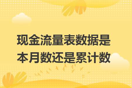 现金流量表数据是本月数还是累计数