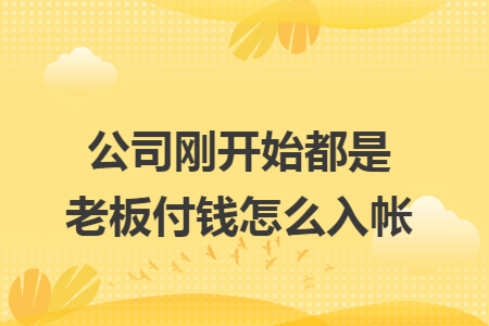 公司刚开始都是老板付钱怎么入帐