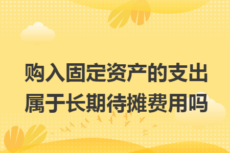 购入固定资产的支出属于长期待摊费用吗