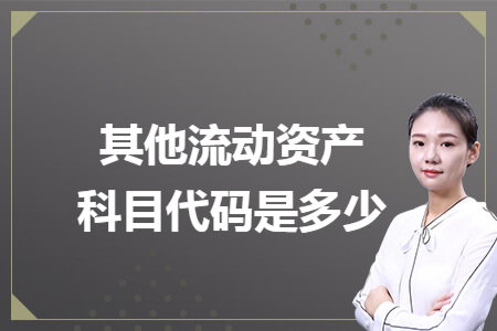 其他流动资产科目代码是多少
