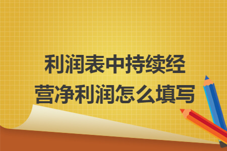 利润表中持续经营净利润怎么填写