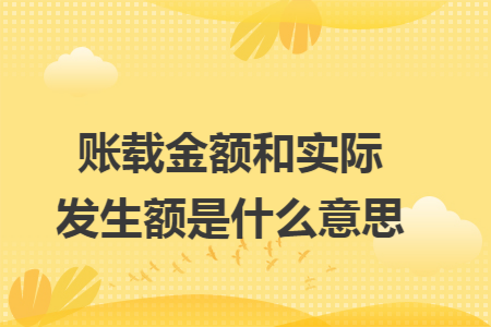 账载金额和实际发生额是什么意思