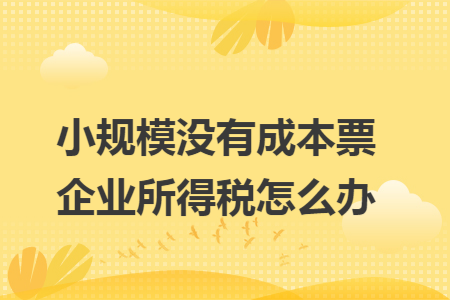 小规模没有成本票企业所得税怎么办