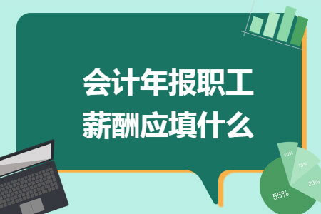 会计年报职工薪酬应填什么