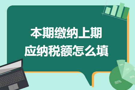 本期缴纳上期应纳税额怎么填