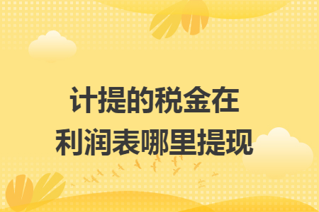 计提的税金在利润表哪里提现