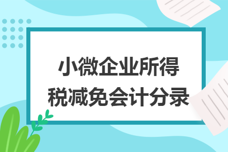 小微企业所得税减免会计分录