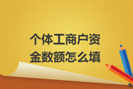 个体工商户资金数额怎么填