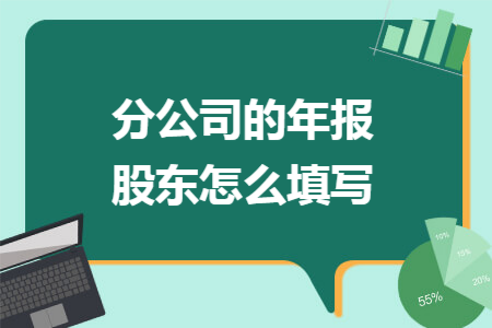 分公司的年报股东怎么填写