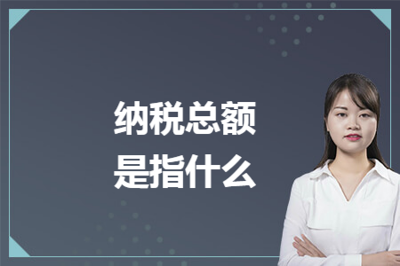 纳税总额是指什么