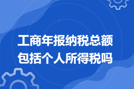 工商年报纳税总额包括个人所得税吗