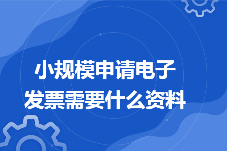 小规模申请电子发票需要什么资料