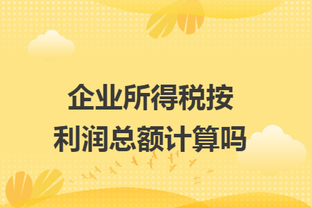 企业所得税按利润总额计算吗