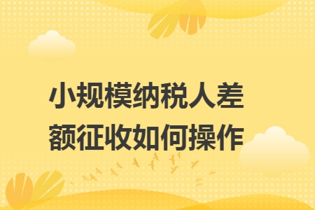 小规模纳税人差额征收如何操作