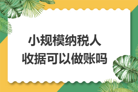 小规模纳税人收据可以做账吗