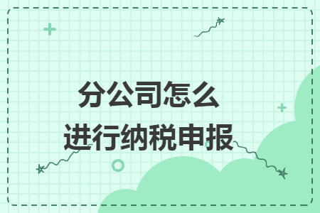 分公司怎么进行纳税申报